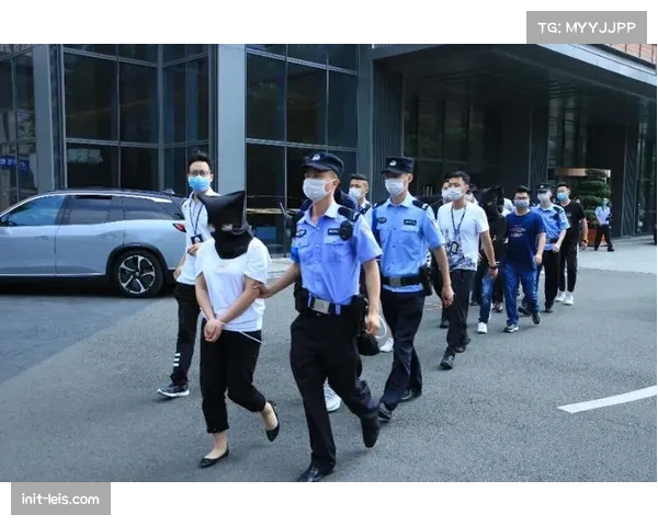 DFL联合警方成功打击一大型非法国际流媒体转播团伙，涉及德甲赛事